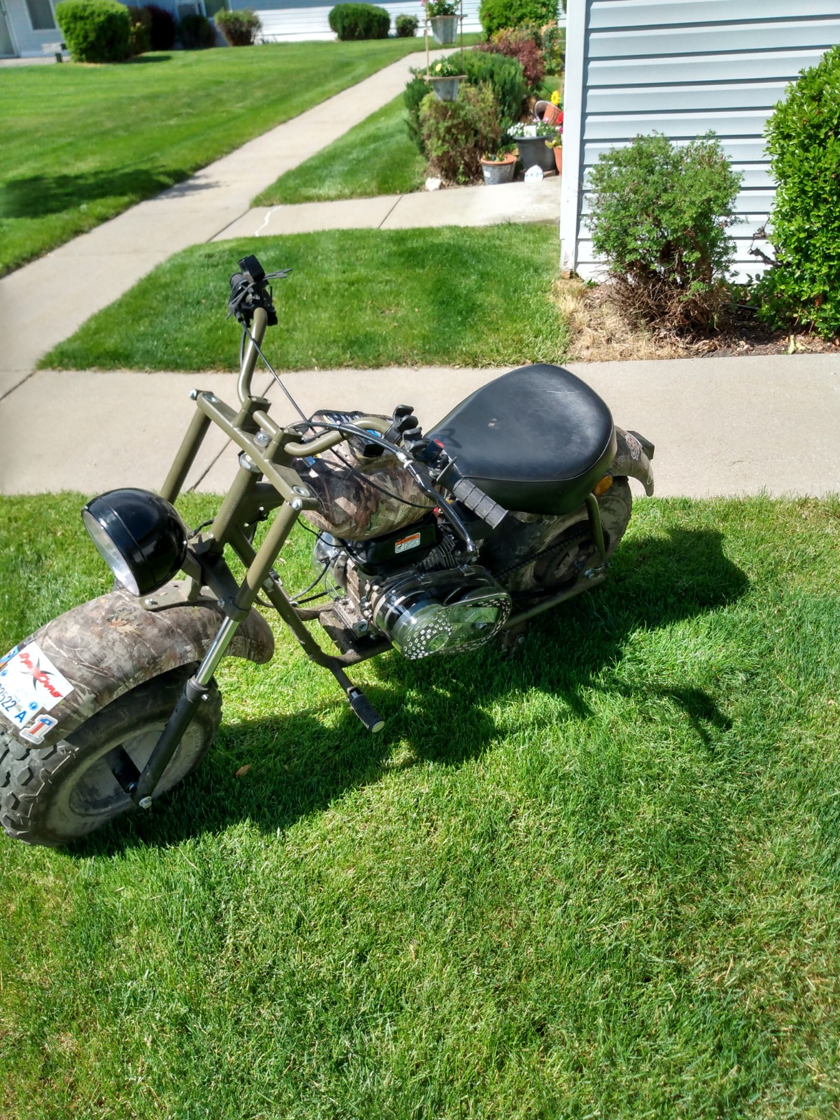 Massimo Warrior200 customer photo 5